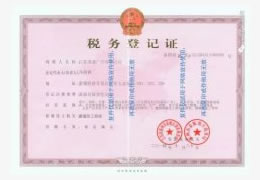 苏通广告税务登记证