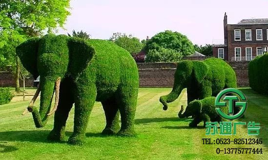 大象造型雕塑展示图 - 苏通广告提供制作