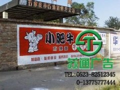 墙体广告会成为主流的广告选择