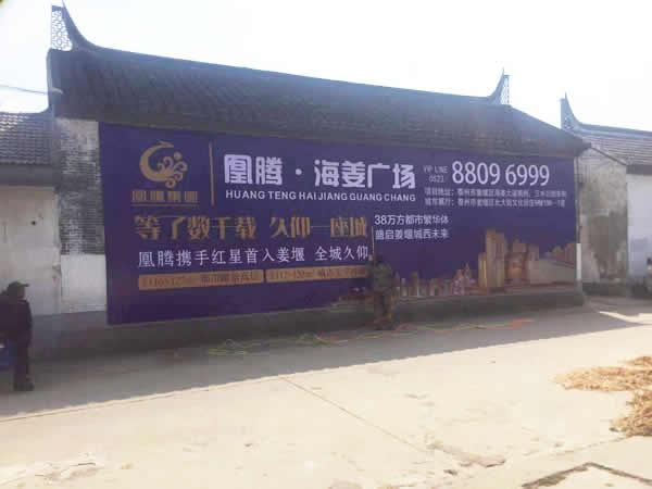 凰腾海姜广场乡村墙体广告制作安装