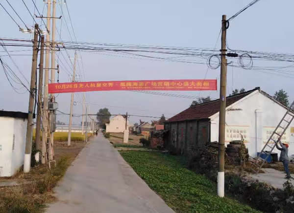凰腾·海姜广场乡村（镇）条幅制作安装