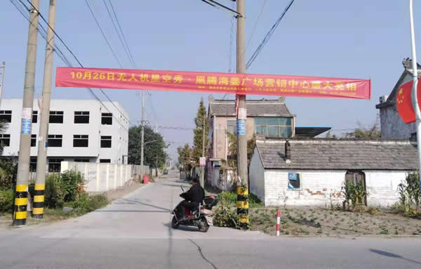 凰腾·海姜广场乡村（镇）条幅制作安装